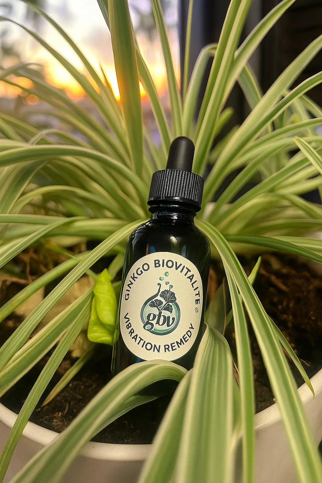 66a71e01 f23b 4149 bcb2 bca186acafd3