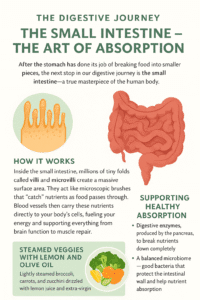 chatgpt image 5 nov. 2025 à 15 06 27