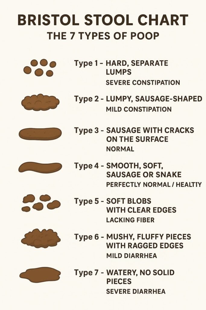 whatsapp image 2025 11 23 at 17.08.38