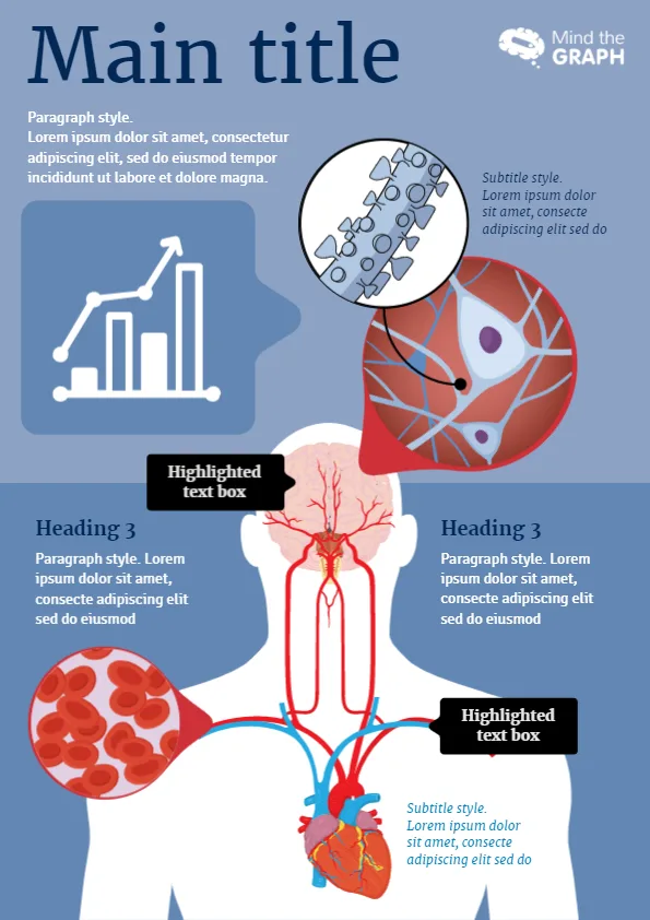 brain circulatory system infographic template preview 1